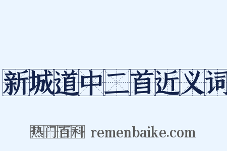 新城道中二首近义词是什么意思的图片